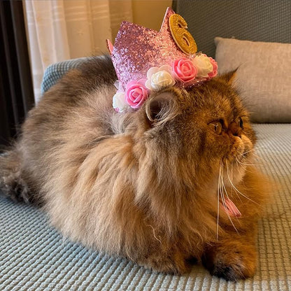 Pet Crown Dog Birthday Hat Reusable Birthday Party Crown Girl Cat Doggie - Image 8