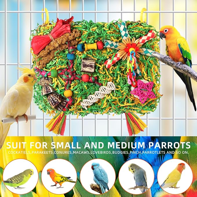 Bird Toys Parakeet Toys, Large-Sized Parrot Foraging & Shredding Cage Hanging - Image 3