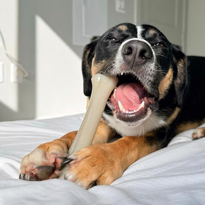 Nylabone Gourmet Style Knuckle Bone Strong Chew Toy - Image 2