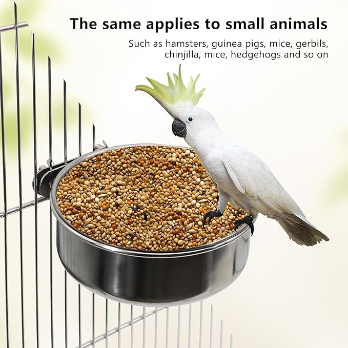 4 Pcs Small Bird Feeding Dish Cups, Parrot Food Bowl Cage - Image 4