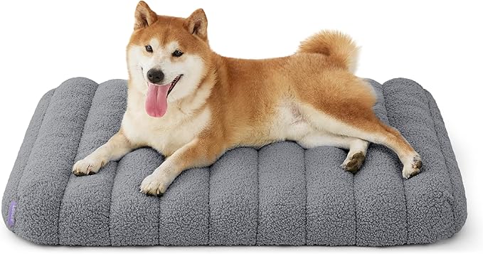 LE SURE Cute Orthopedic Dog Bed Medium Size Dog, Waterproof Chic Flat Pet Beds by Lesure