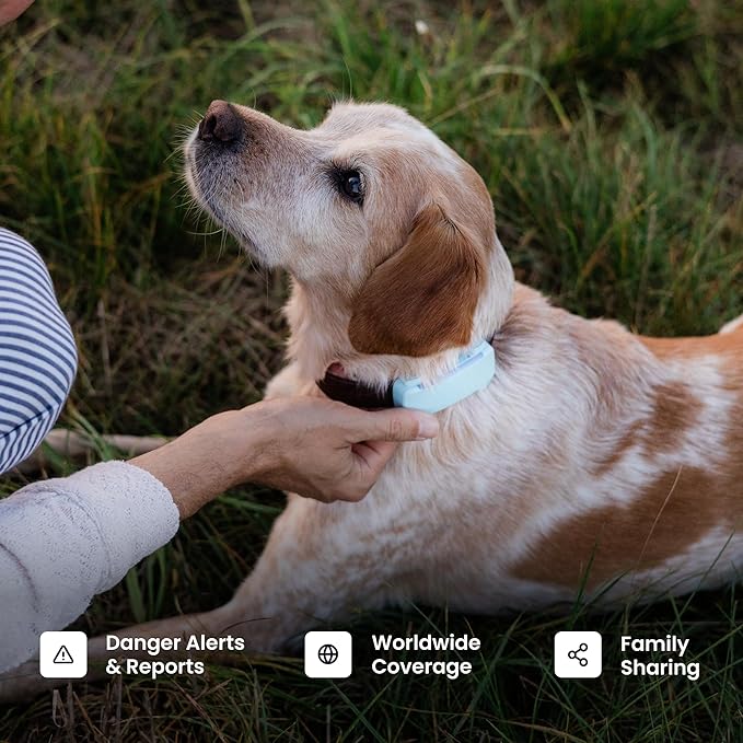 Tractive Smart Dog GPS Tracker | Live Pet Tracker - Image 8