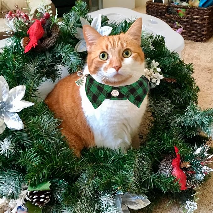 ADOGGYGO Christmas Cat Collars Breakaway - Image 4