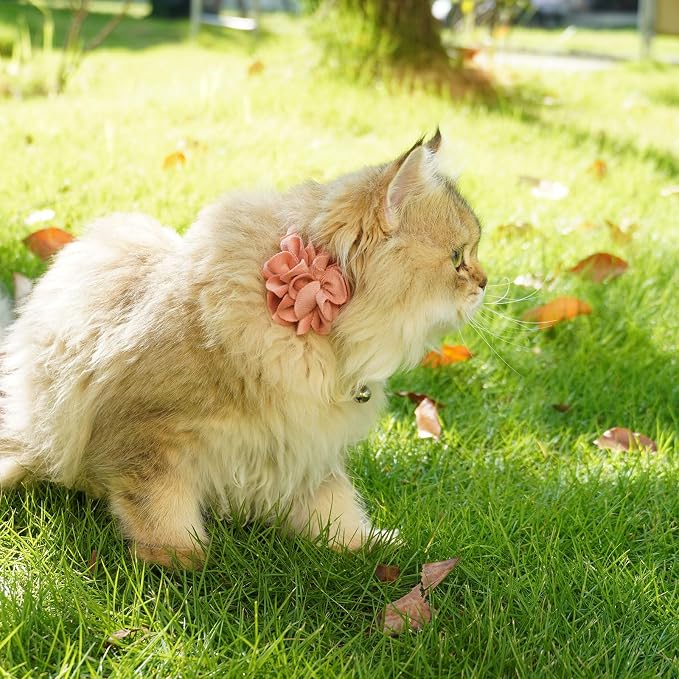 azuza 2 Pack Cat Collar Floral - Image 3