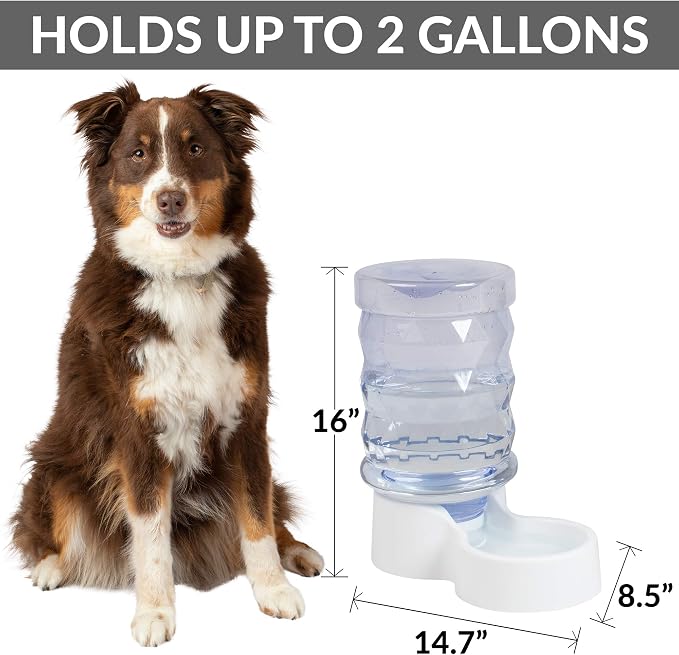 PetFusion H2O Gravity Pet Water Dispenser. Durable 2.5 Gallon Waterer Feeder. - Image 3