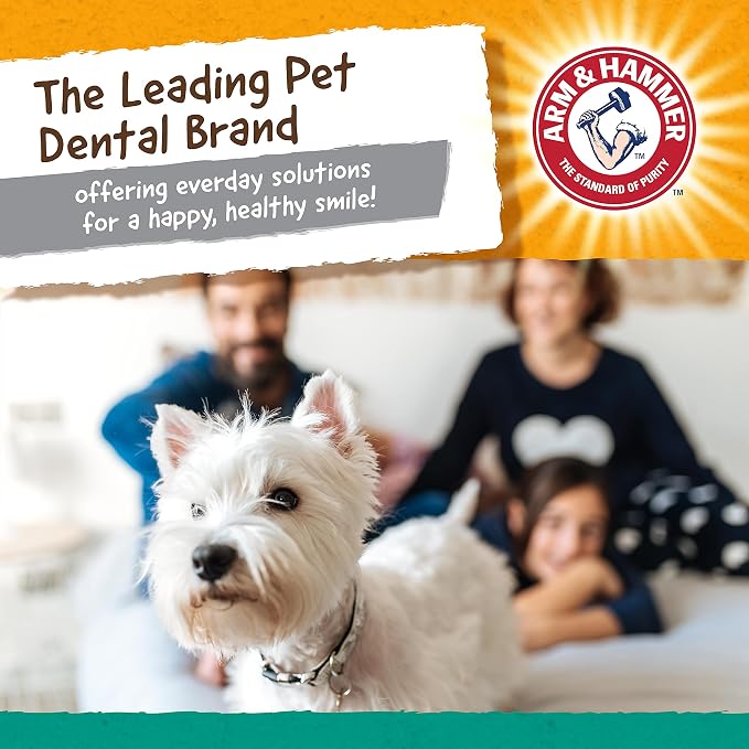 Arm & Hammer Nubbies T-Bone Dental Dog Chew Toy - Image 6
