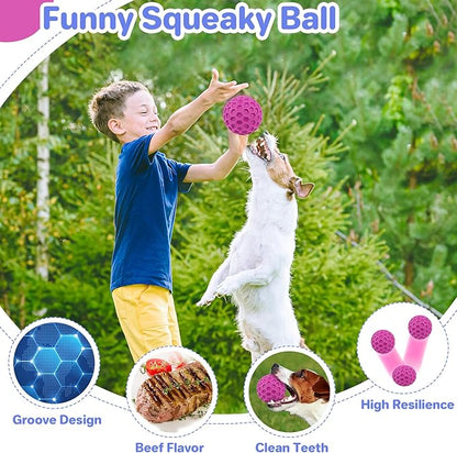 Interactive Squeaky Dog Balls, Dog Toys - Image 4