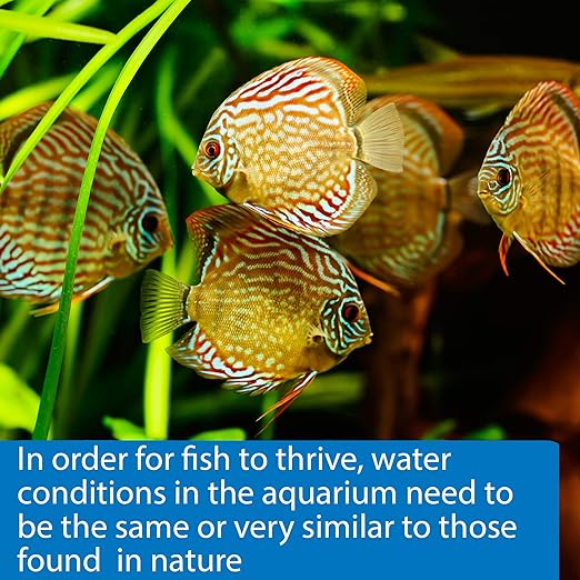 API 5-IN-1 TEST STRIPS Freshwater and Saltwater Aquarium Test Strips 4-Count Box - Image 6