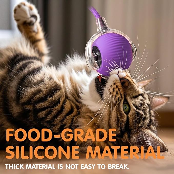 Rocfish Durable Interactive Cat Toys - Image 5