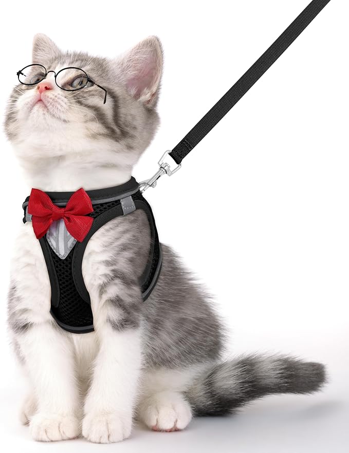 Cat Vest Harness and Leash Set for Walking Escape Proof, Adjustable Kitten by NCMAMA