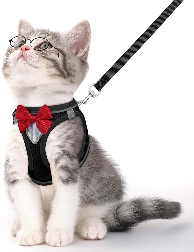 Cat Vest Harness and Leash Set for Walking Escape Proof, Adjustable Kitten by NCMAMA
