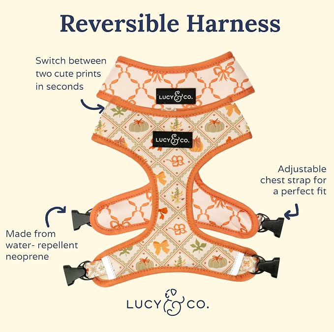 Lucy & Co. Cute Reversible Dog Harness Walking Halter - Image 3
