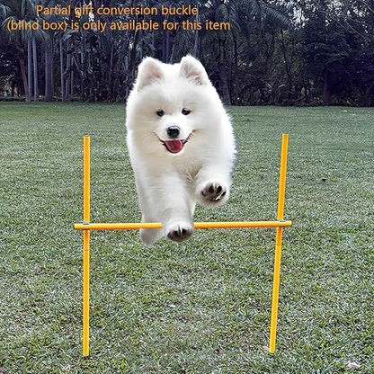 Dog Agility Equipment, Agility Poles, Dog Jumps, Outdoor Obstacle Course - Image 5
