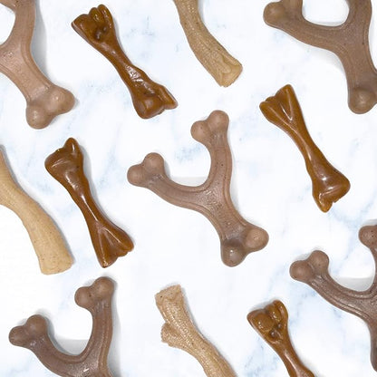 Nylabone Gourmet Style Femur Bone Strong Chew Toy - Image 6