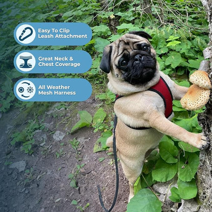 Best Pet Supplies Voyager Step-in Air Harness - Image 3