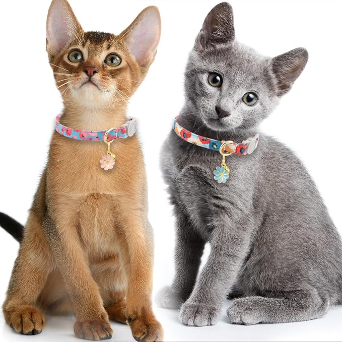 Faygarsle 2 Pack Breakaway Cat Collar - Image 6