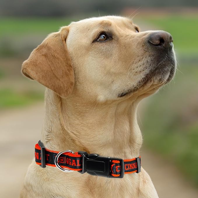 New & Improved Pets First NFL Licensed PET Collar- Heavy-Duty, and Durable New - Image 4