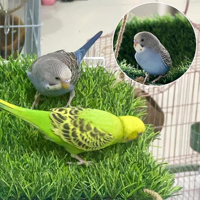 FlidRunest Large Bird Swing Toy, Bird Grass Mat Hammock Swing - Image 4