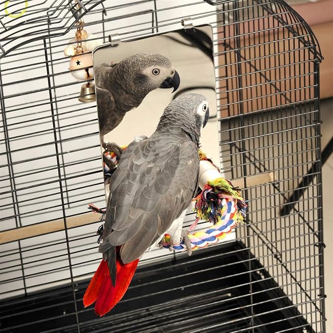 Colorday 9" Bird Mirror with Rope Perch, Bird Swing, Parrot Cage Toys - Image 2