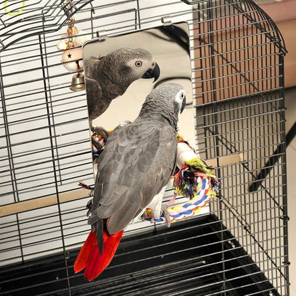 Colorday 9" Bird Mirror with Rope Perch, Bird Swing, Parrot Cage Toys - Image 2
