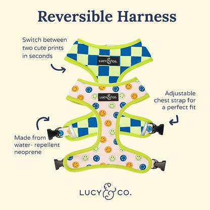 Lucy & Co. Lime Green with Blue Checker Smiley Faces, Cute Reversible Dog - Image 2