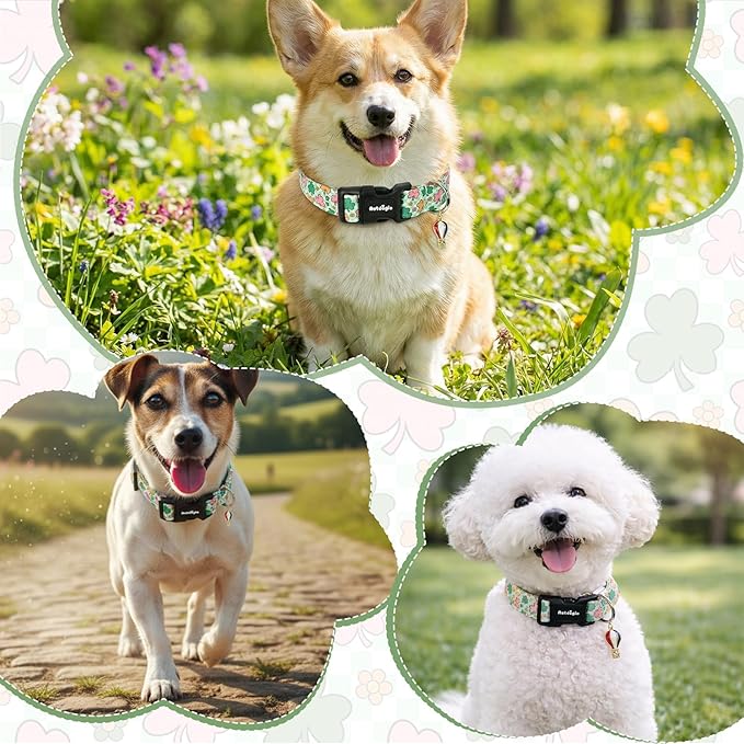 St. Patrick's Day Dog Collar, Puppy Collar - Image 5