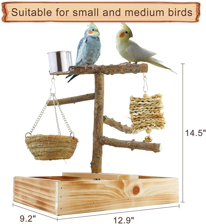 Mogoko Natural Bird Perches Playground, Cage Accessories, Toys Playground - Image 2