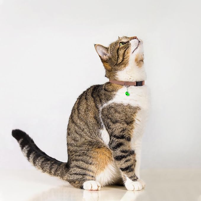 Breakaway Cat Collar with Bell - Image 6