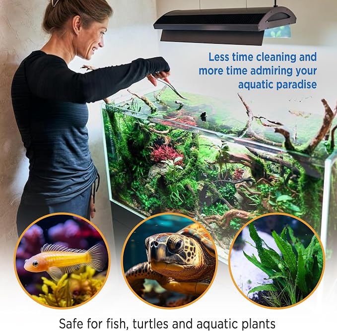 Fish Tank Rocks for Enhancing Water Clarity - Image 4