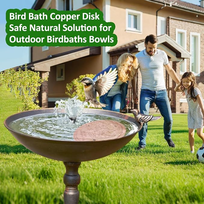 Bird Bath Copper Disk, 99.99% Pure Copper - Image 7