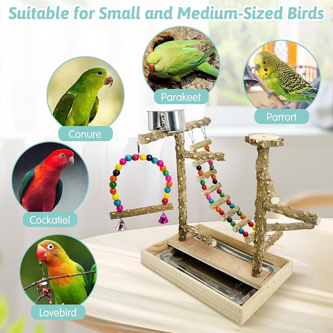 PINVNBY Bird Playground Natural Wood Bird Play Stand - Image 4