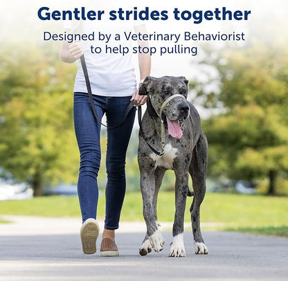 PetSafe Gentle Leader Headcollar No-Pull Dog Collar - Image 2
