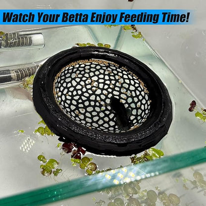 Aquarium Floating Betta Fish Skins, Betta or Shrimp Feeder, Cave and Hammock - Image 4