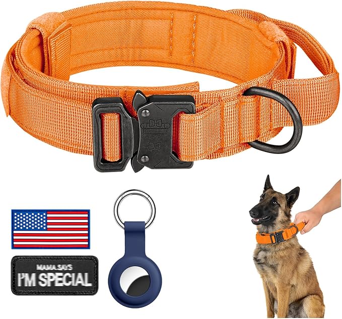 DAGANXI Tactical Dog Collar, Adjustable Military Training Nylon Dog Collar by DAGANXI