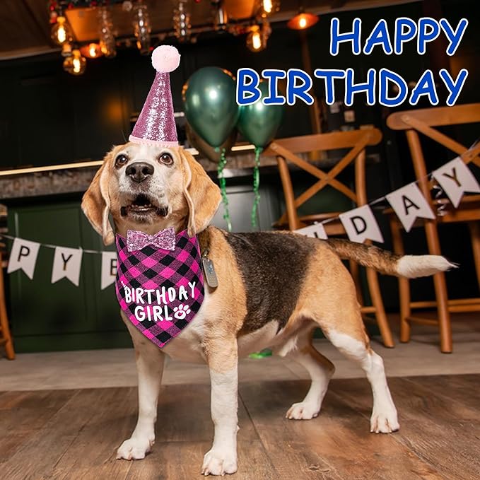 Dog Birthday Party Supplies Decorations - Image 6