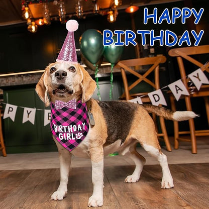 Dog Birthday Party Supplies Decorations - Image 6