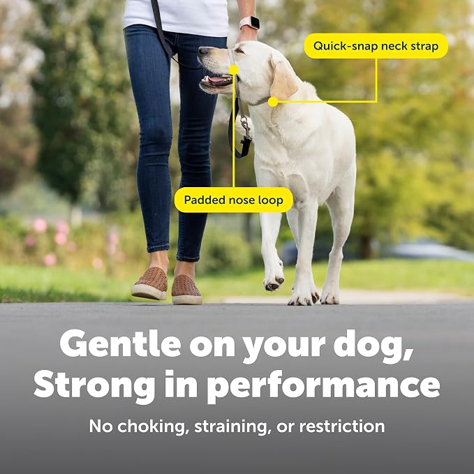 PetSafe Gentle Leader No-Pull Dog Headcollar - Image 4