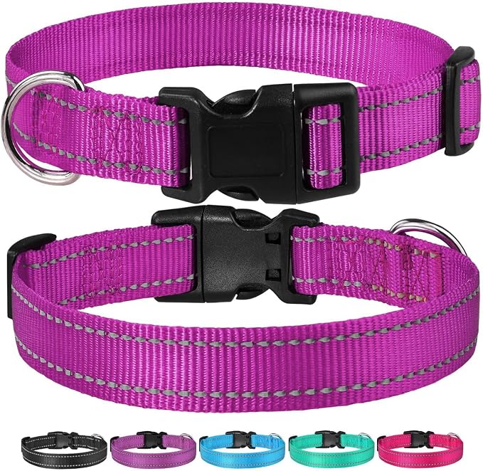 Reflective Dog Collar with Buckle Adjustable Safety Nylon Collars - Image 6