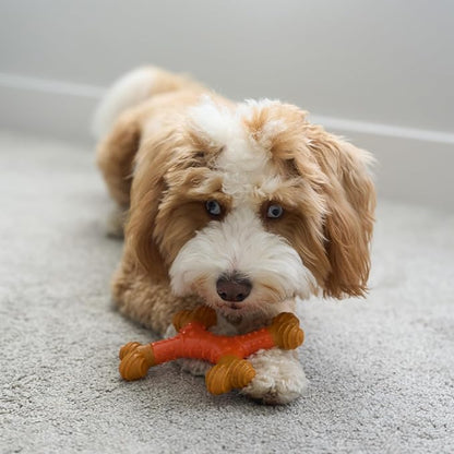 SPOT Bam-Bones Dental X-Bone - Image 11
