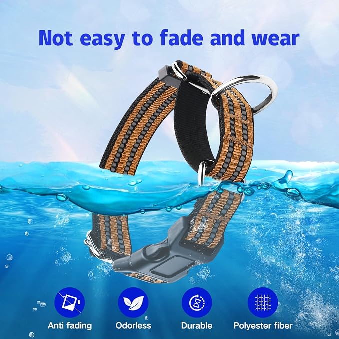 Martingale Dog Collar, Adjustable Nylon Reflective Collar - Image 7