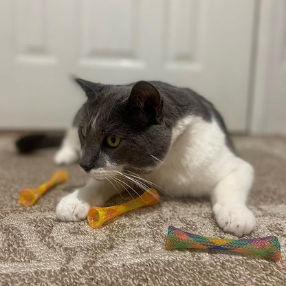 SPOT Kitty Fun Tubes Cat Toy | Bouncy Cat Toy - Image 9