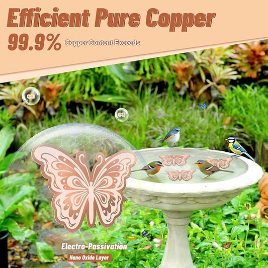 2Pcs Bird Bath Copper Disk, 0.6mm Reinforced 99.9% Pure Copper Cleaning Disk - Image 2
