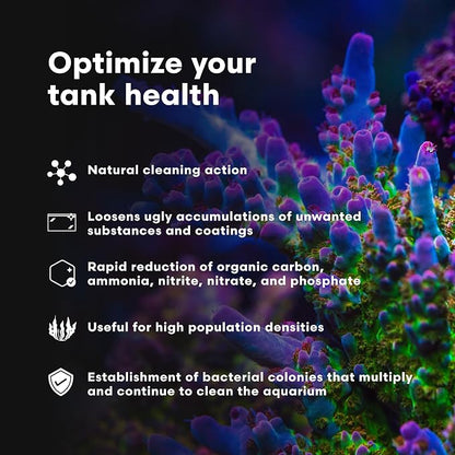 Brightwell Aquatics MicroBacter Clean - Image 4