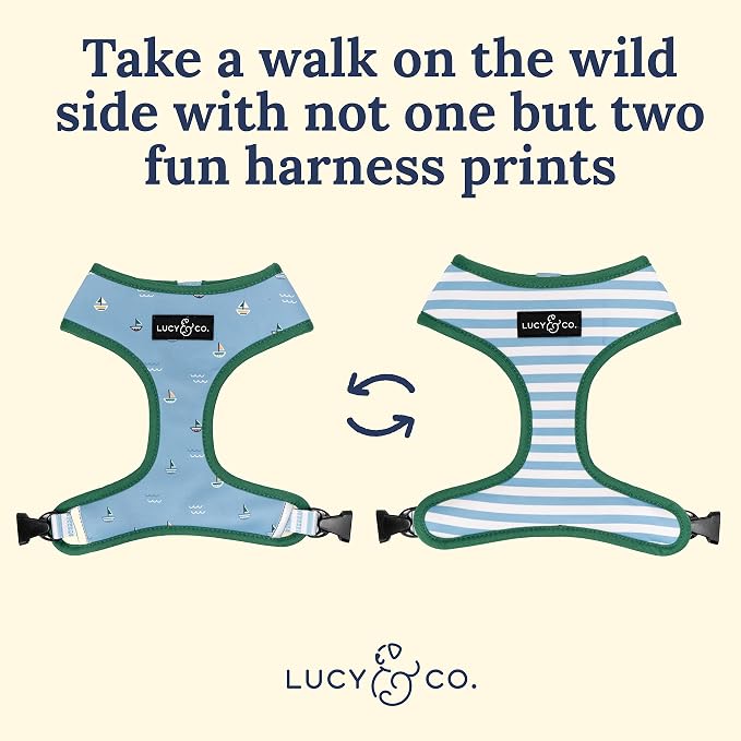 Lucy & Co. Set Sail Reversible Harness, Walking Halter - Image 3