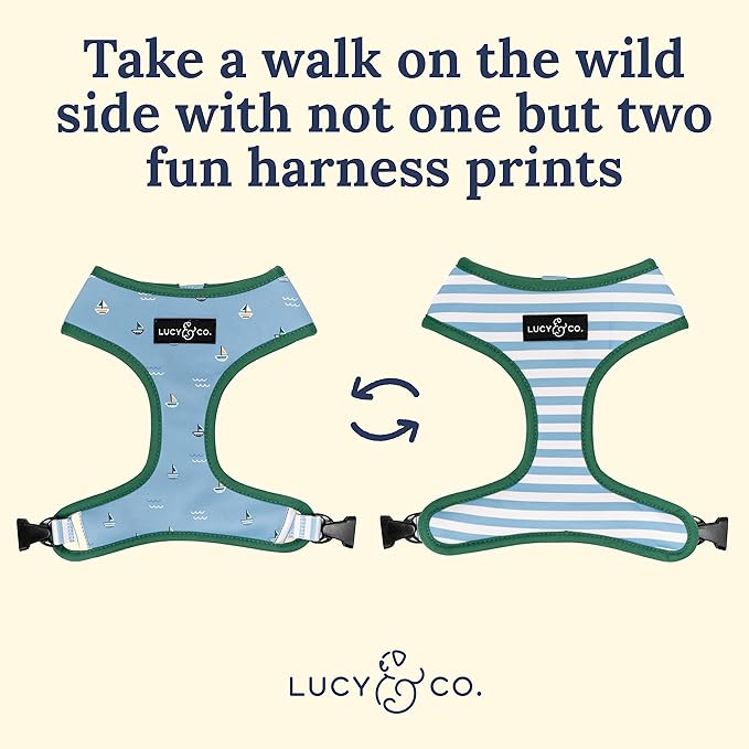 Lucy & Co. Set Sail Reversible Harness, Walking Halter - Image 3