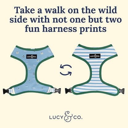 Lucy & Co. Set Sail Reversible Harness, Walking Halter - Image 3