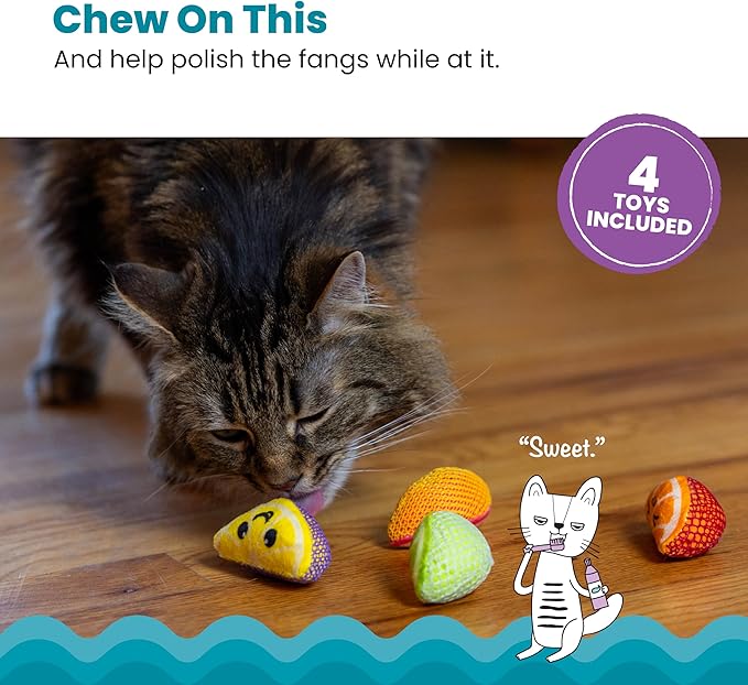 Catstages Dental Fruit Wedges 4 Pk, Soft and Textured Catnip Chew Toys That - Image 2
