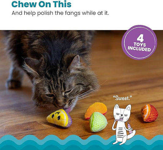 Catstages Dental Fruit Wedges 4 Pk, Soft and Textured Catnip Chew Toys That - Image 2