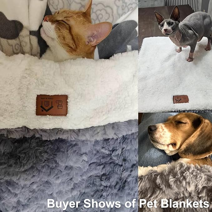 Cat Blanket for Indoor Cats - Image 8