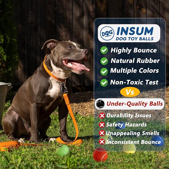 Squeaky Tennis Balls for Dogs - Image 6